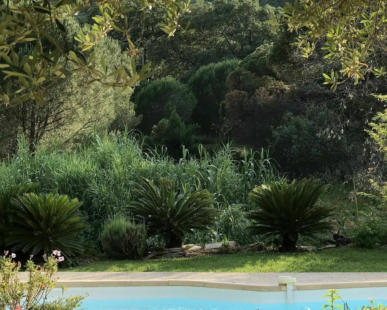 וילה הוילה גרימו La Belle Bastide