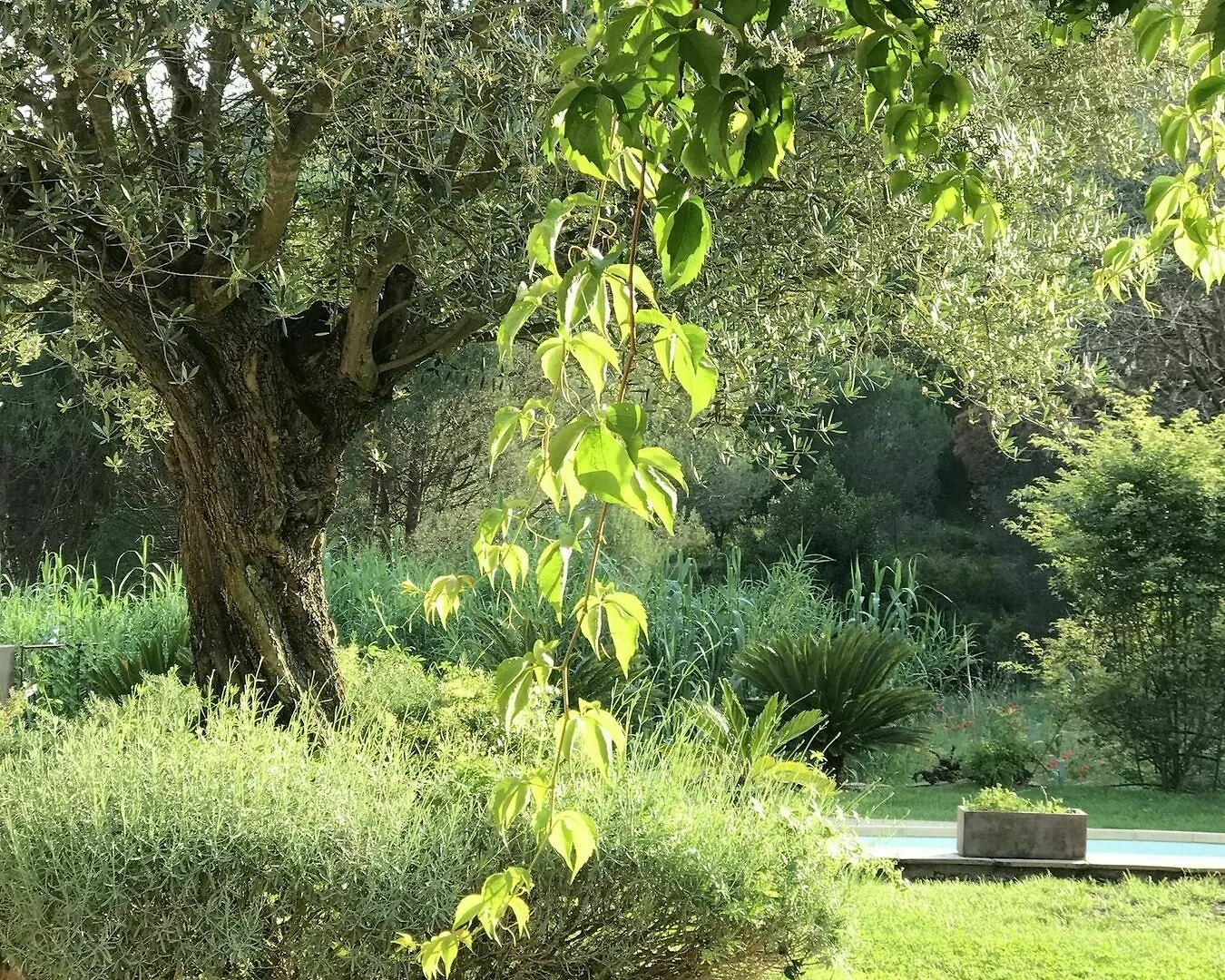 La Belle Bastide Vila Grimaud 0*,